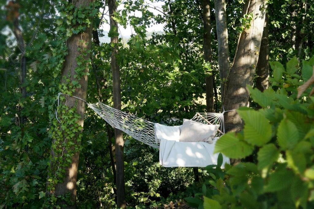 Wohnung Am Fusse Des Schwarzwalds Oberkirch  Buitenkant foto