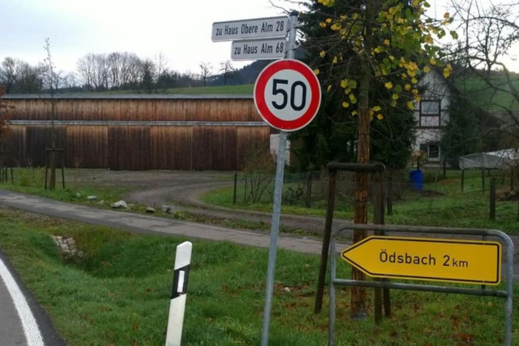 Wohnung Am Fusse Des Schwarzwalds Oberkirch  Buitenkant foto