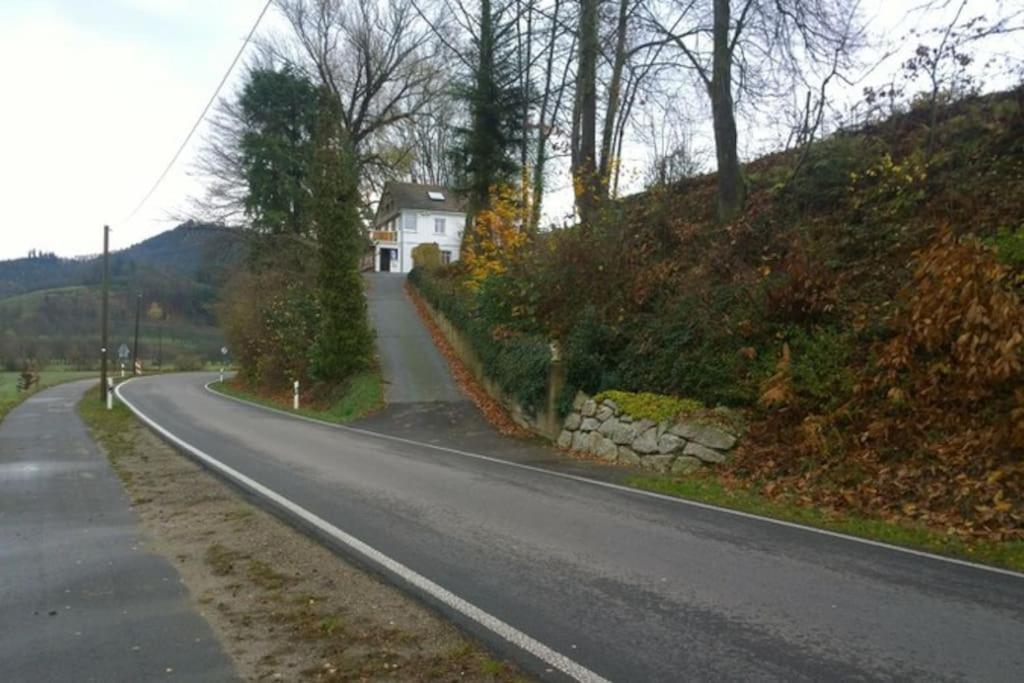 Wohnung Am Fusse Des Schwarzwalds Oberkirch  Buitenkant foto